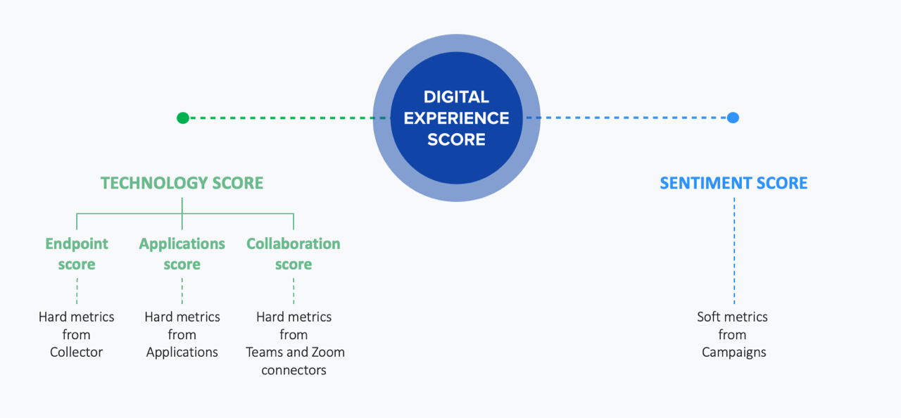Digital Experience Score